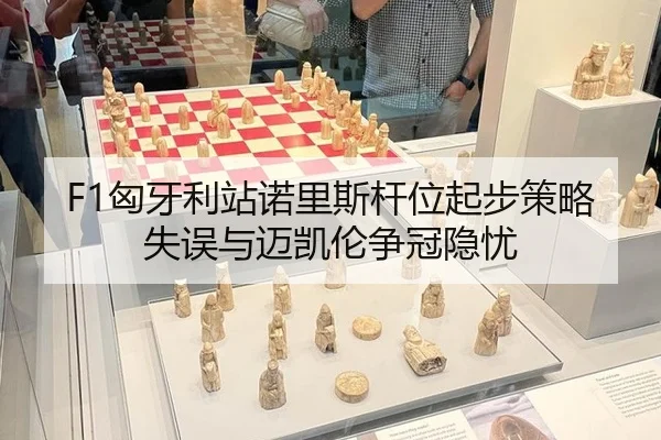 xiong-ya-li-zhan-nuo-li-si-gan-wei-qi-bu-ce-lve-shi-wu-yu-mai-kai-lun-zheng-guan-yin-you-3-110.jpg